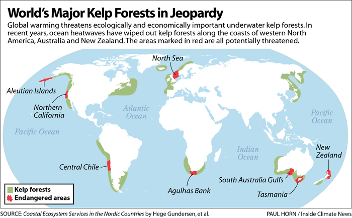 World's Major Kelp Forests 
