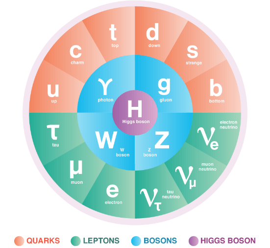 The Standard Model includes the matter particles (quarks and leptons), the force carrying particles (bosons), and the Higgs boson.
