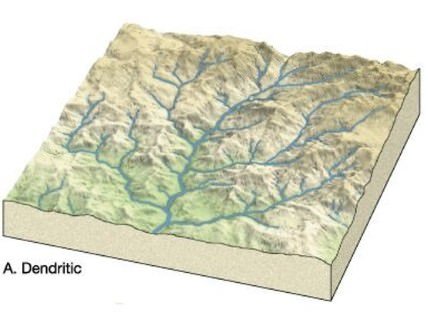 Dendric or Pinnate drainage pattern