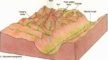 Glacial Erosional Landforms-glaciated topography