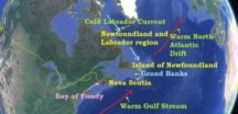 Newfoundland - grand banks fishing industry