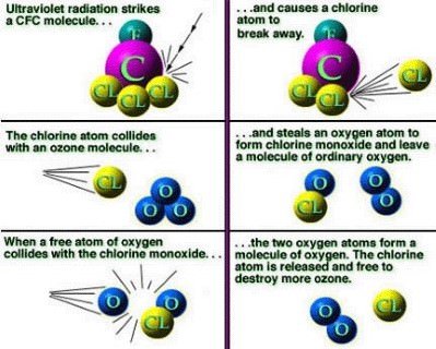 Ozone Depletion chlorine radical - cfc-hfc