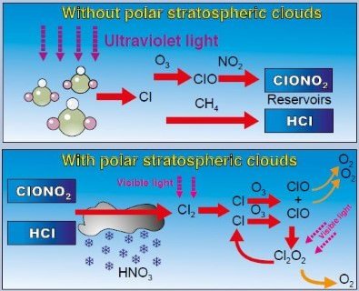 Polar Stratospheric Clouds (PSCs) - ozone hole - ozone destruction