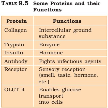 Proteins and their functions