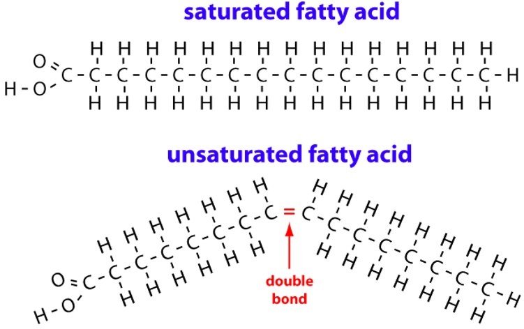 saturated-unsaturated fatty acids - fats