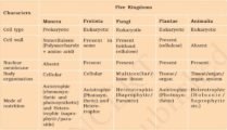 Biological Classification - kingdoms