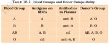 Blood Groups - ABO Grouping
