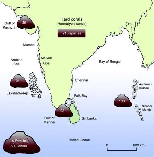coral reefs in India