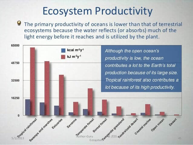 Ecosystem Productivity