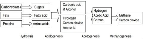 Anaerobic biodegradation 