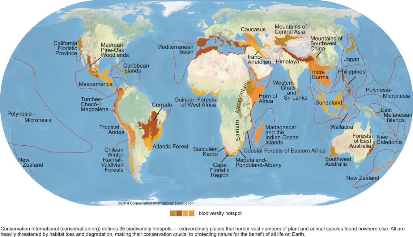 Biodiversity Hot Spots (4 in India)