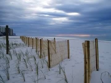 Sand fences