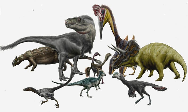 Dinosaurs and Pterosaurs 