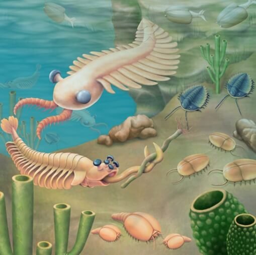 Lifeforms during the Cambrian Period 