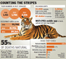 2018 Tiger census
