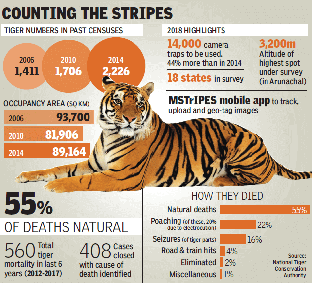 2018 Tiger census