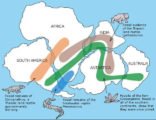 Continental Drift Theory - Distribution of Fossils across the Gondwanaland