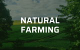 Natural Farming