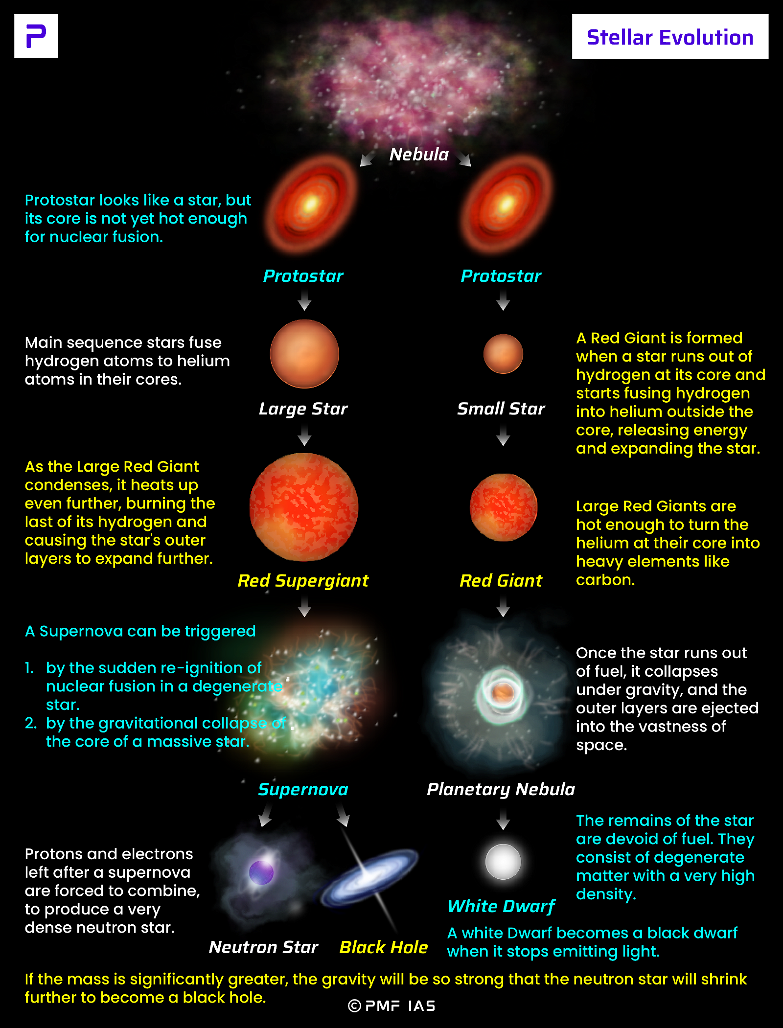 Star Formation (Stellar Evolution or Life Cycle of a Star) - Nebula - Protostar - Red Giant - Planetary Nebula - Supernova - White Dwarf - Neutron Star - Black Hole