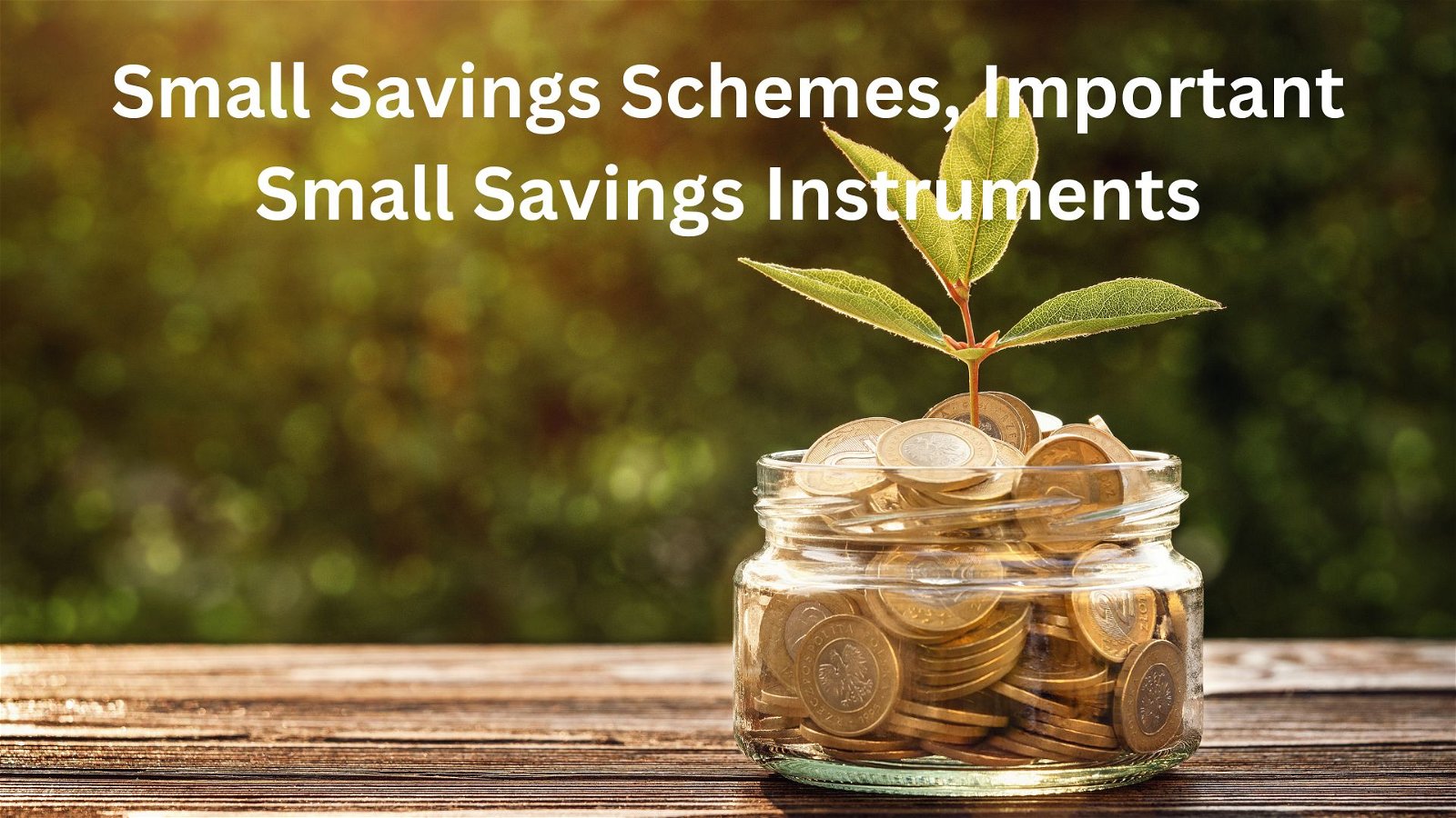 Small Savings Schemes Important Small Savings Instruments