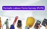 Periodic Labour Force Survey (PLFS)