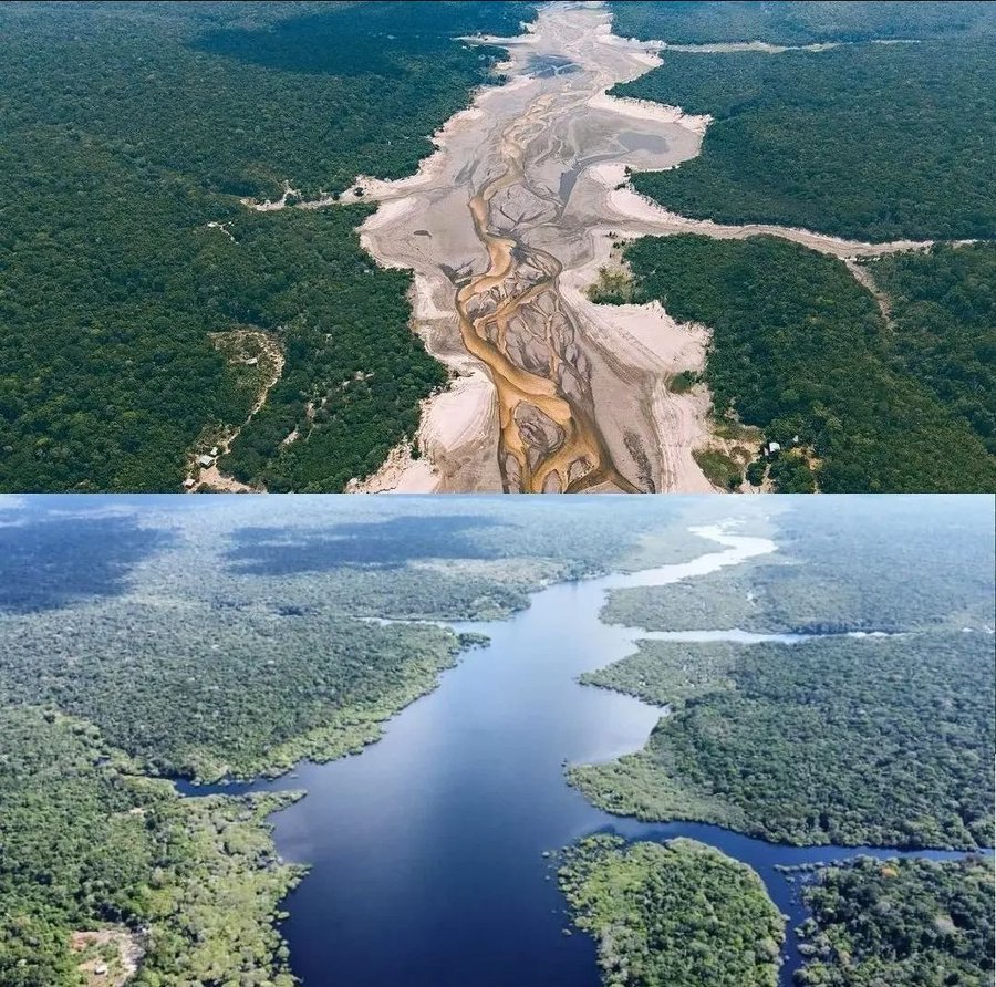 Severe Drought in Amazon Rainforest