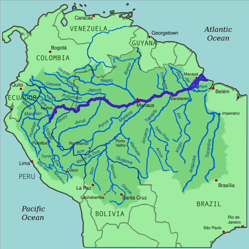 Amazon Rainforest Drainage