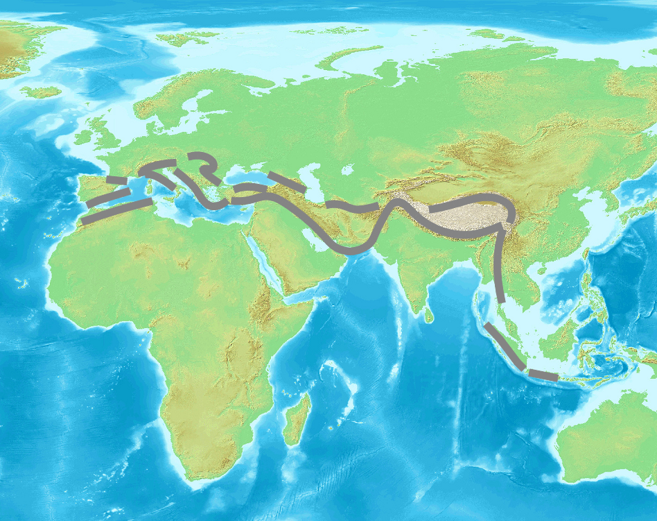 Alpide Belt (or Alpine-Himalayan Orogenic Belt)