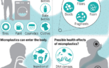 Adverse Impact of Microplastics