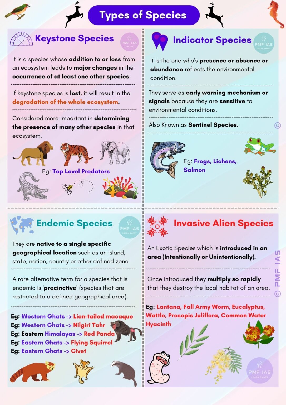 Beavers, The Ecosystem Engineers and Keystone Species - PMF IAS