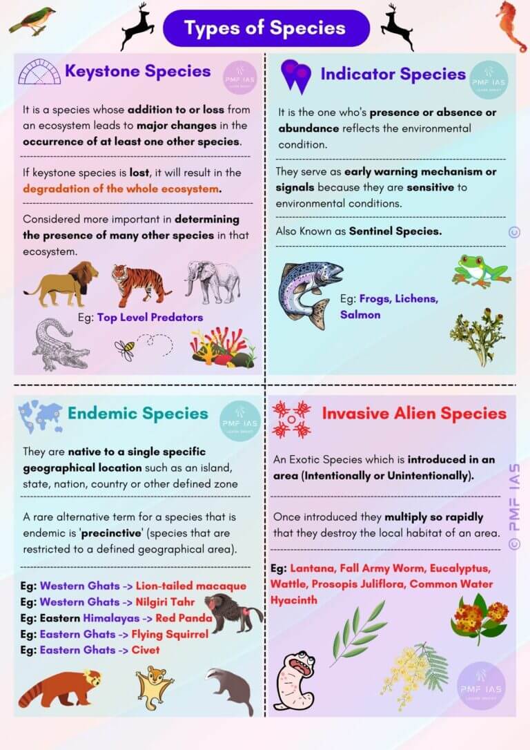 Beavers, The Ecosystem Engineers And Keystone Species - PMF IAS