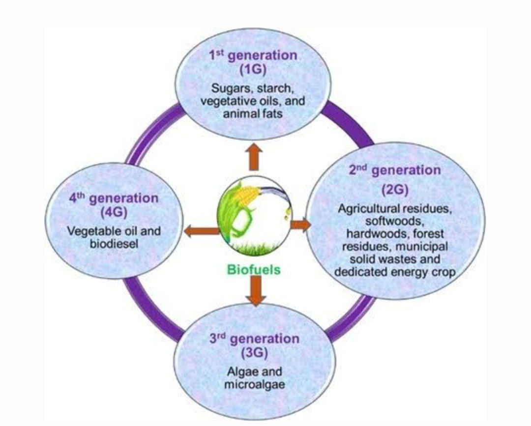 Biofuel Generations
