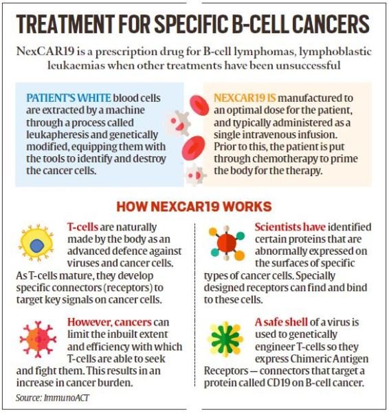 CAR-T is a revolutionary therapy that modifies immune cells, specifically T-cells, by turning them into potent cancer fighters known as CAR-T cells.