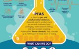 Polyfluoroalkyl Substances (PFAs)