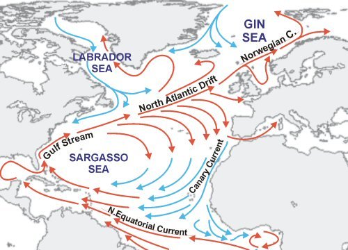 The Gulf Stream current system
