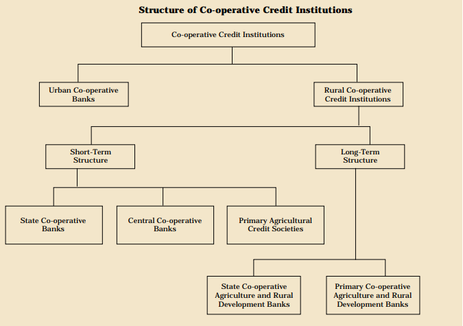 Cooperative Credit Institutions in India