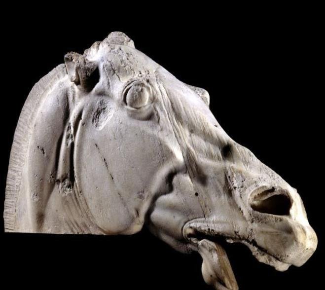 Horse's Head from the east pediment of the Parthenon. From Athens, Greece, 438–432 BC.