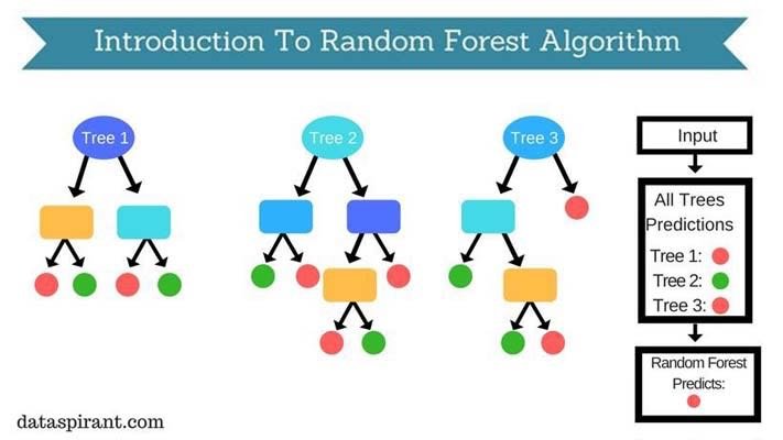 How Does the Random Forest Algorithm Work in Machine Learning