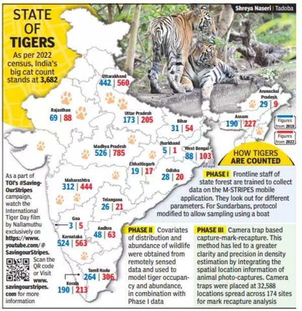 Tiger Population in India 2023: Pegged at 3,167 in April, India's tiger ...