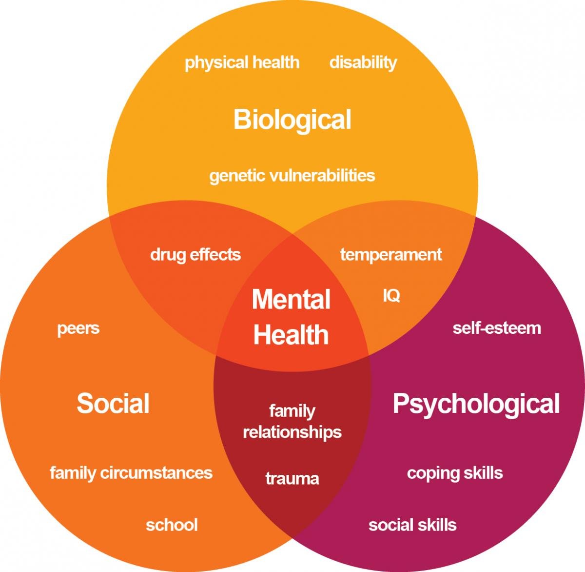 Venn Diagram of Mental Health Issues