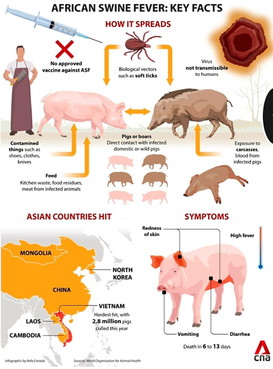 Key Facts about African Swine Fever.