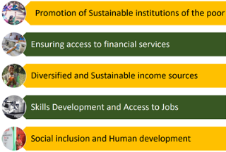 Objectives of NRLM