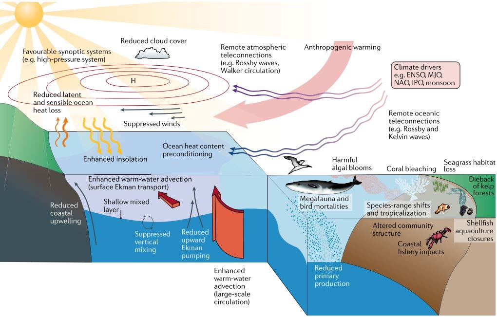 Impacts of Marine Sea Waves