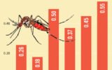 Dengue death toll