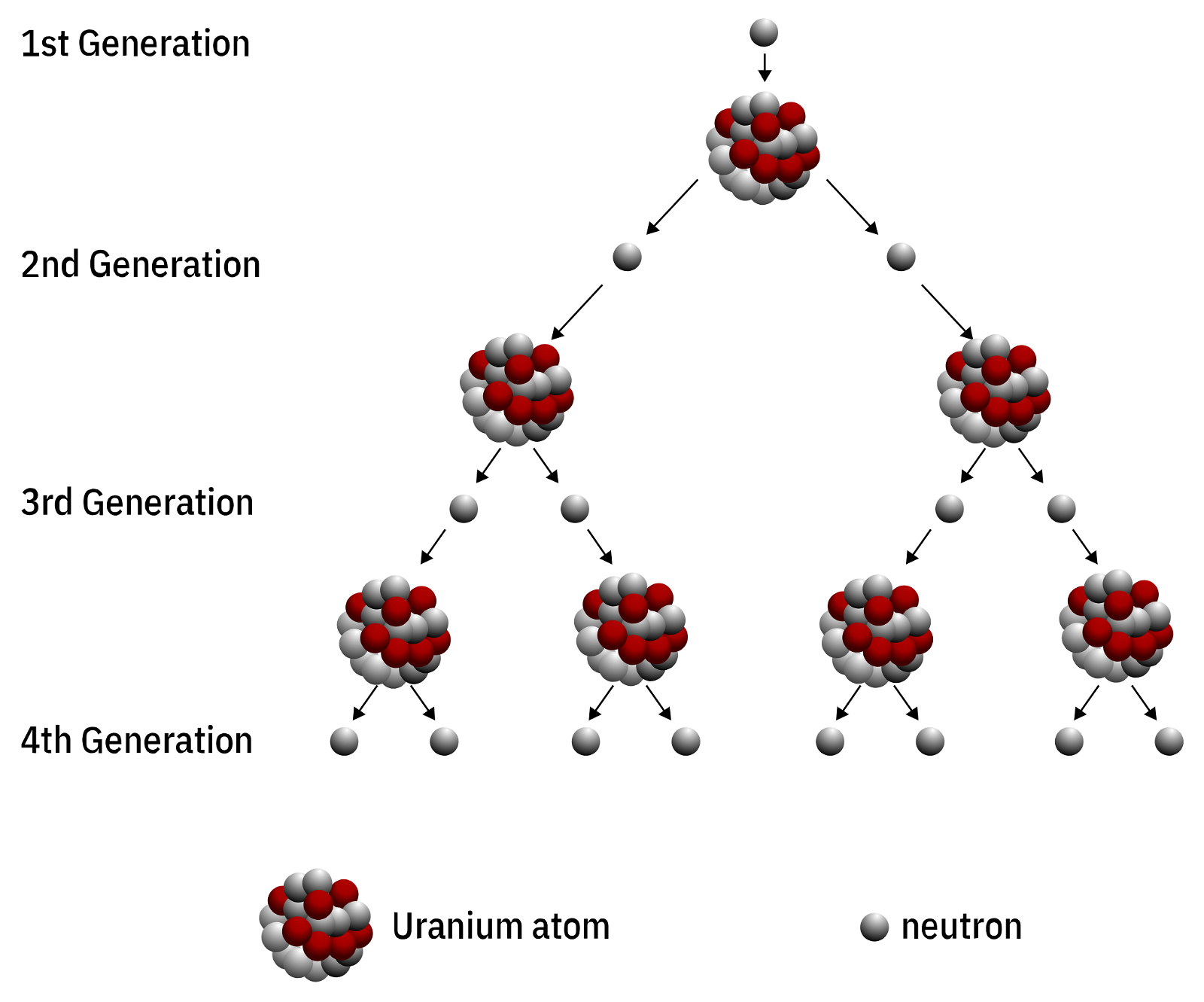 Chain Reaction of an Uranium Atom
