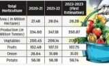 Horticulture output seen slightly higher at 350.87 MT in 2022-23- The New  Indian Express
