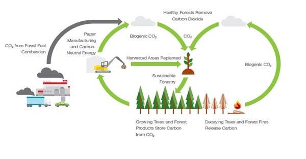 Achieving Carbon Neutrality