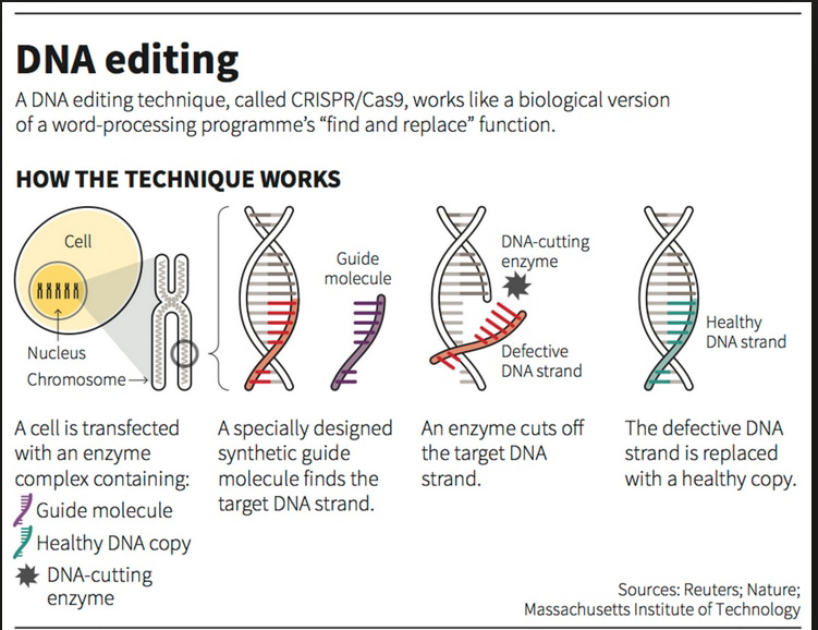 DNA Editing through CrispR/Cas9