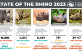 State of the Rhino 2023