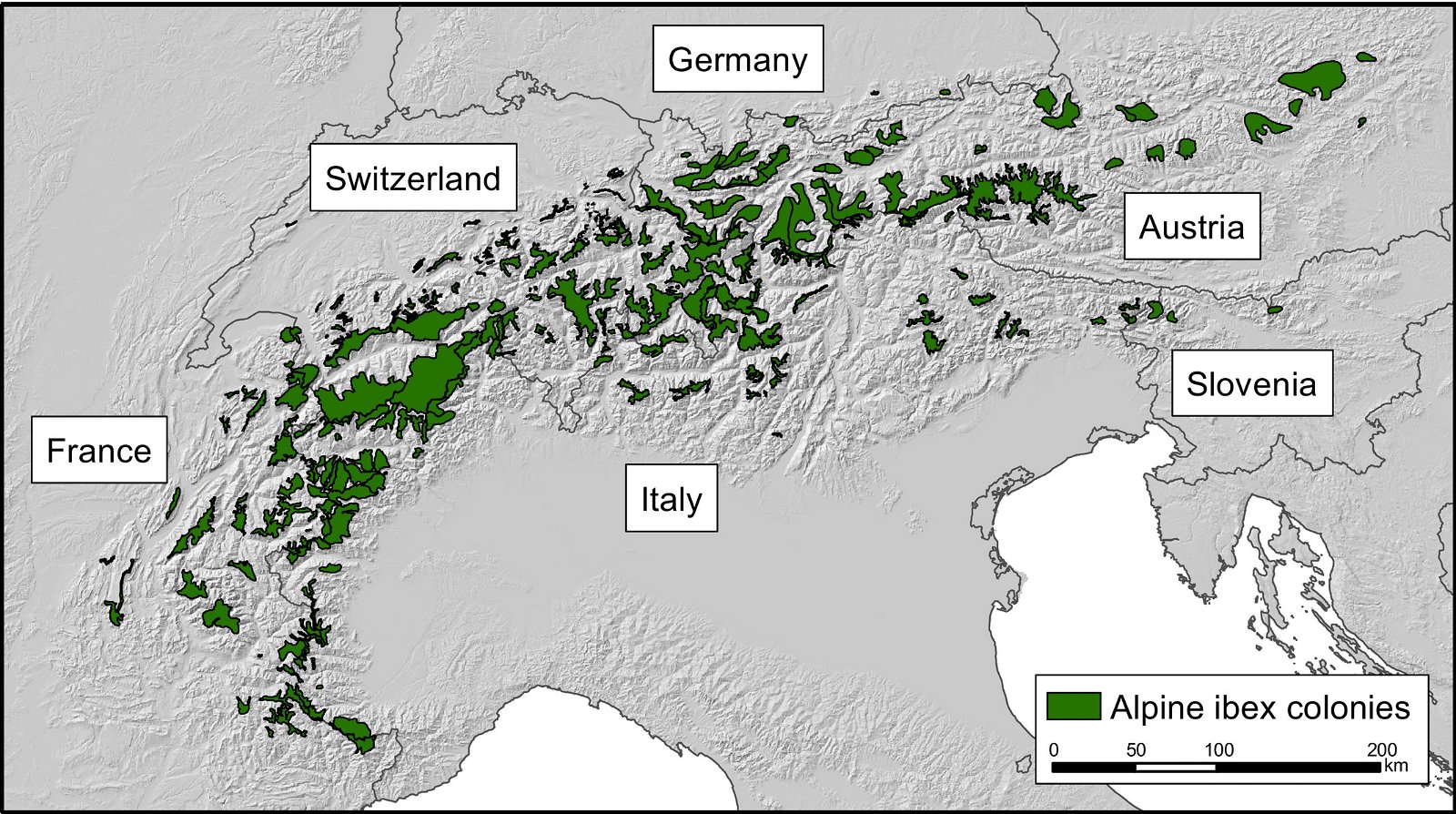 Distribution of Alpine ibex 